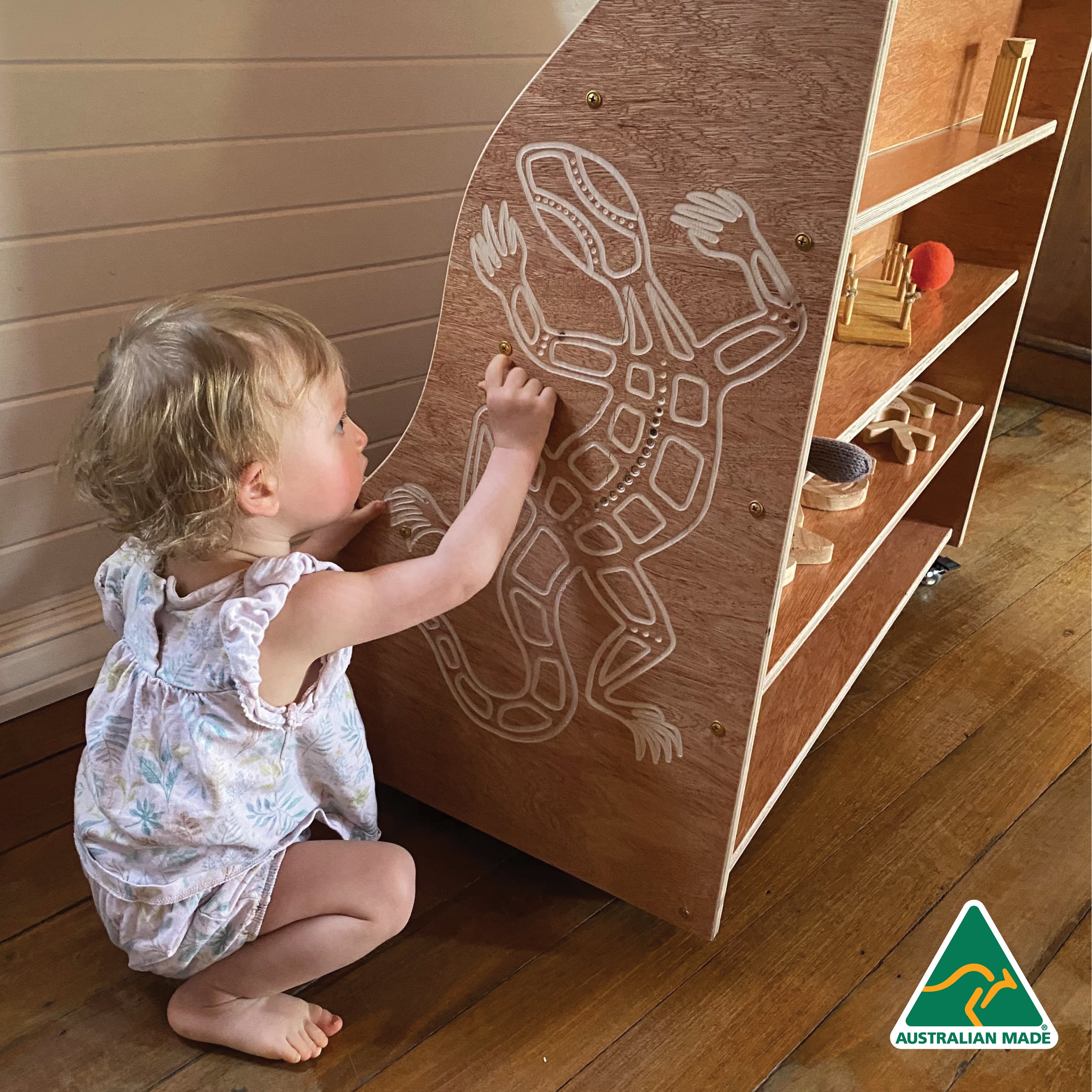 Indigenous Goanna Book Shelf